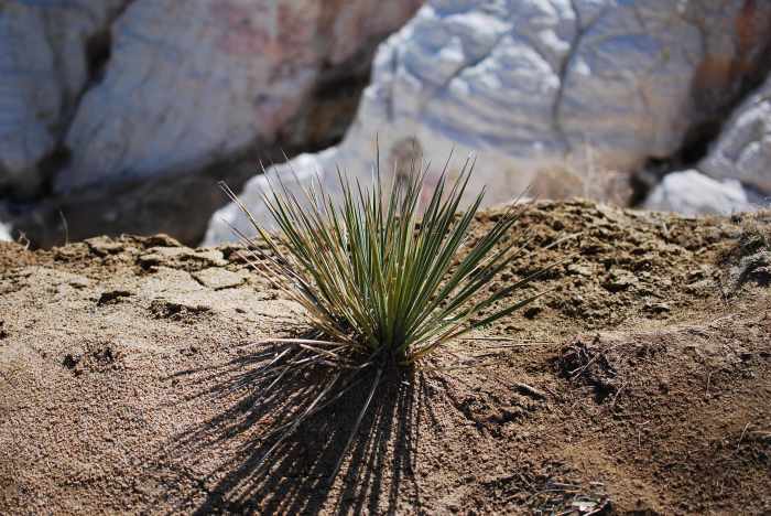 Vacation April 2019 198