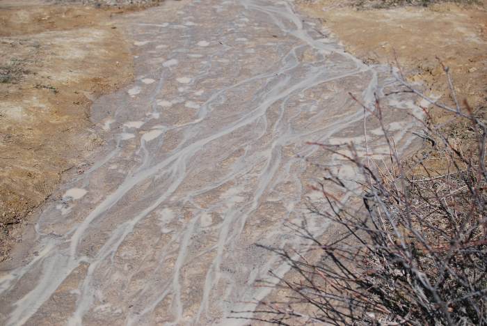 Vacation April 2019 204