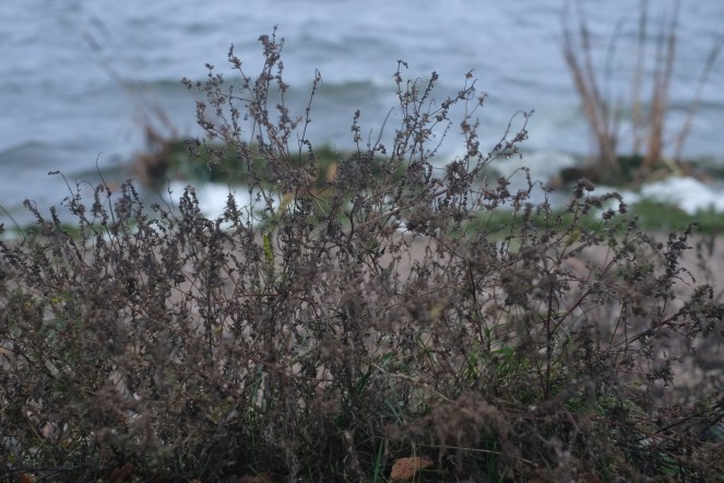 xt2 knoxville trip 461