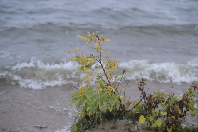 xt2 knoxville trip 476