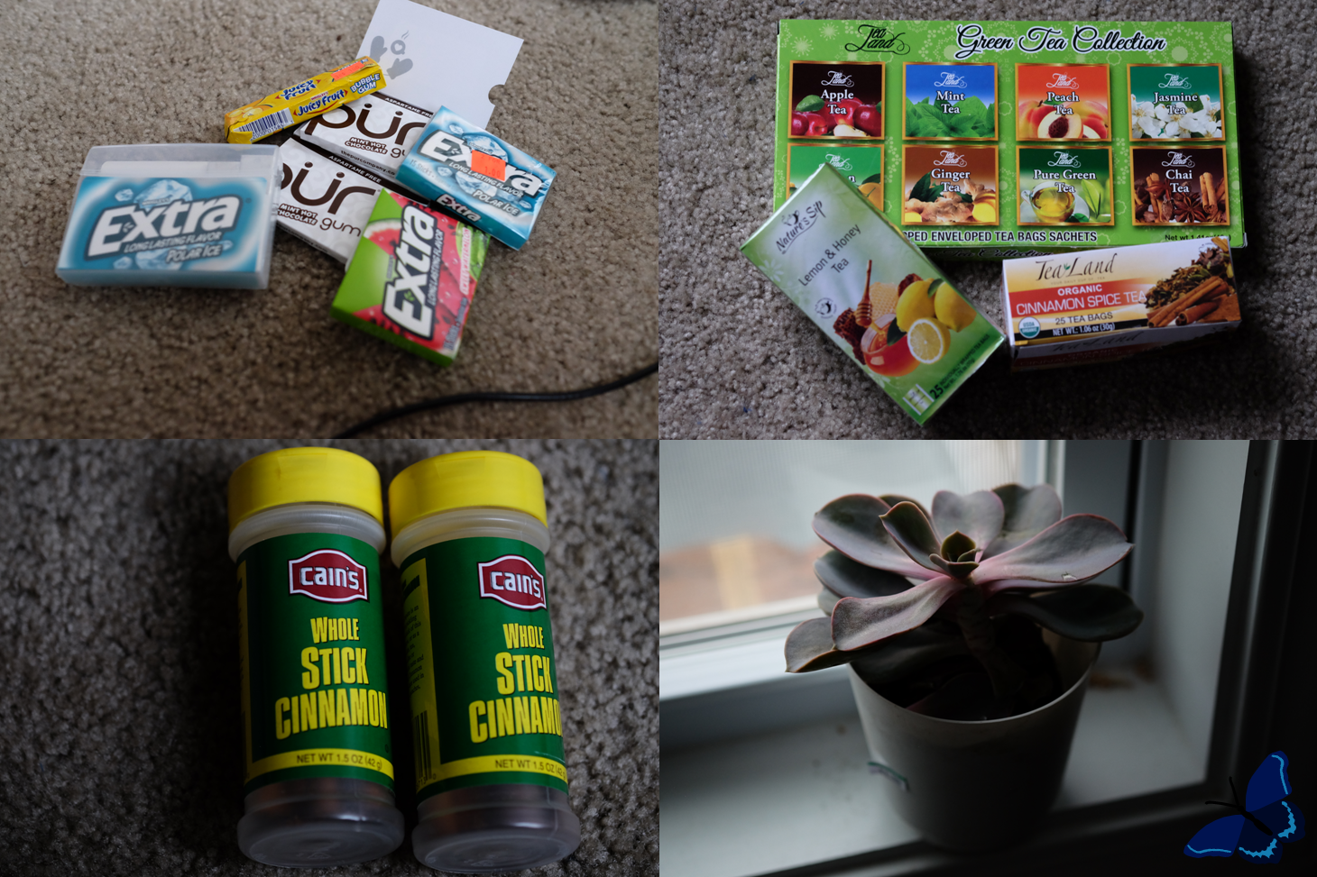 discountstoretreasures